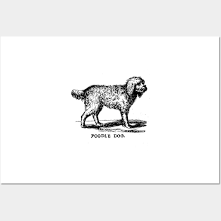 Poodle dog Posters and Art